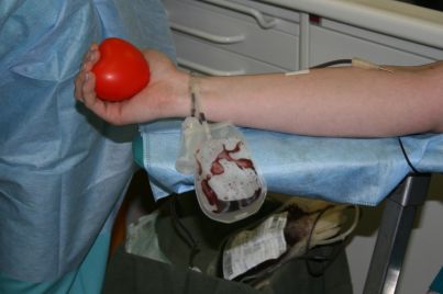Программа «Сбор донорской крови»