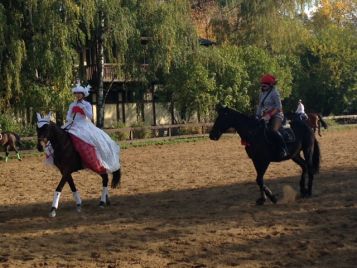 Фестиваль по конному спорту «Золотая осень»